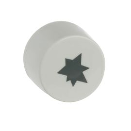 Cooker Ignition Button