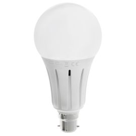 **3696**|LYVECO BC 24W LED 240V A80 (GLS) COOL WHITE